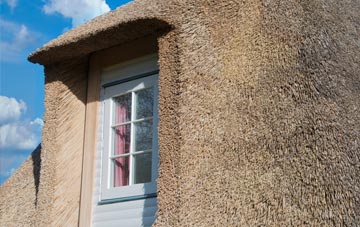 Pitminster thatch roof disadvantages